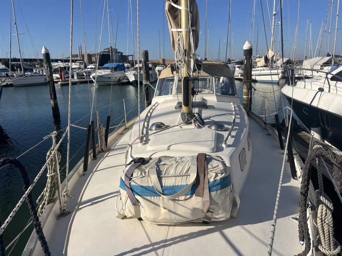  | Albatros Rimini